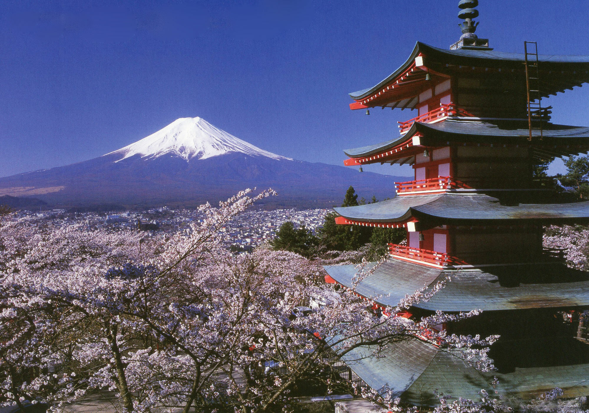 Mt Fuji Hostel Michael'S Fujiyoshida Exteriör bild